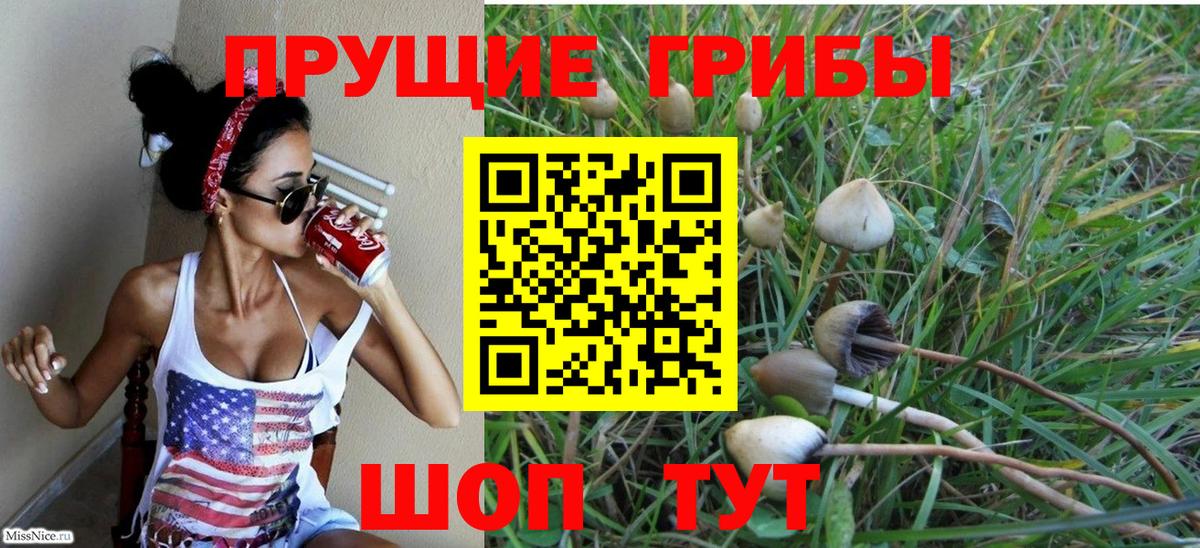 Лесозаводск  где купить   Вход с VPN  Галлюциногенные грибы Cubensis 
