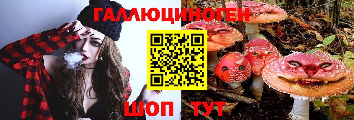 Галлюциногенные грибы MAGIC MUSHROOMS Лесозаводск
